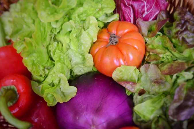 Gemüsemischung Salat Paprika Auberginen Radiccio