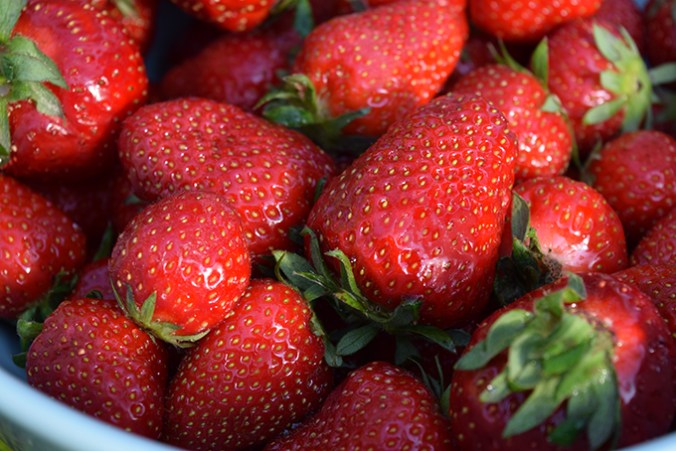 Erdbeeren in einer Schüssel