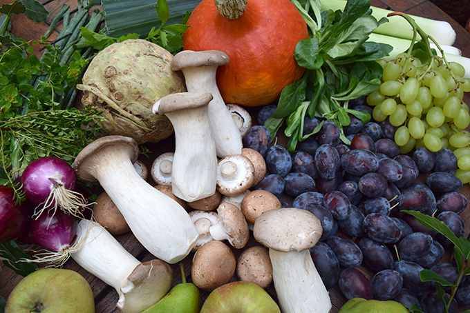 Herbstgemüse Kürbis Pilze Weintrauben Feldsalat