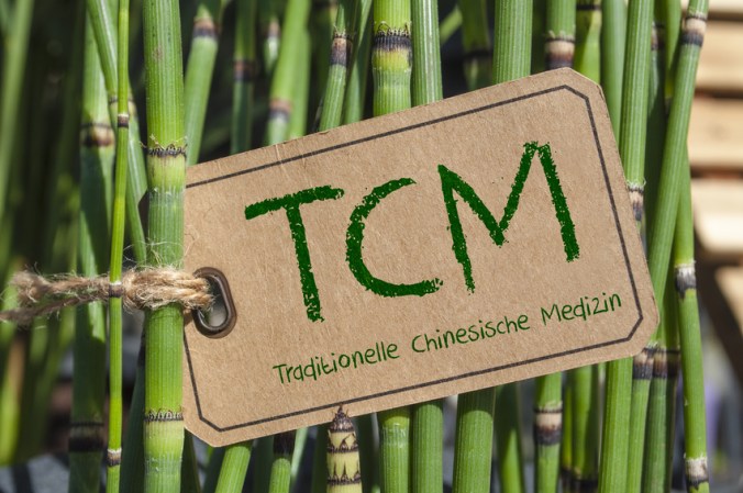 Stein in Wasser mit Om, Yoga, Tai Chi, Qi gong, Feng Shui mit Wasserlinsen und Schachtelhalm