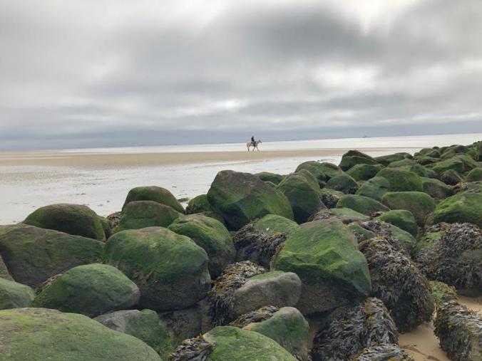 Weiter Blick bis zum Hor